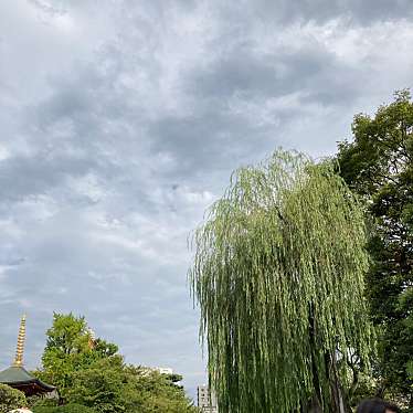 写真は雑なJaeJungさんが投稿した浅草寺のお店浅草寺/センソウジの写真