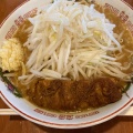 実際訪問したユーザーが直接撮影して投稿した神谷ラーメン / つけ麺活龍 牛久店の写真