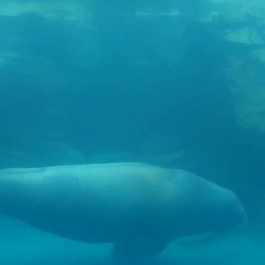 実際訪問したユーザーが直接撮影して投稿した神崎水族館 / アクアリウム大分マリーンパレス水族館 うみたまごの写真