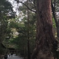 実際訪問したユーザーが直接撮影して投稿した宇治館町神社伊勢神宮の写真