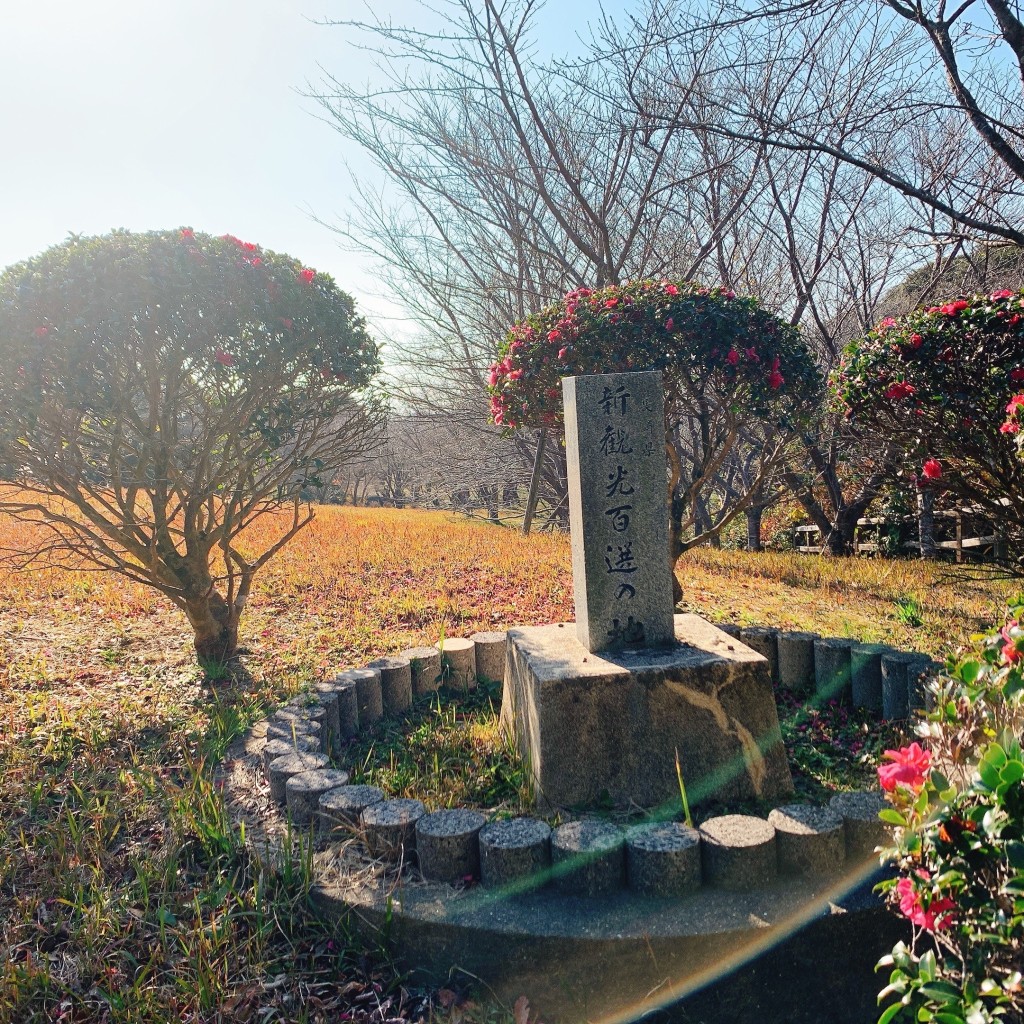 実際訪問したユーザーが直接撮影して投稿した大島町キャンプ場 / バンガロー・コテージ百合岳キャンプ場の写真