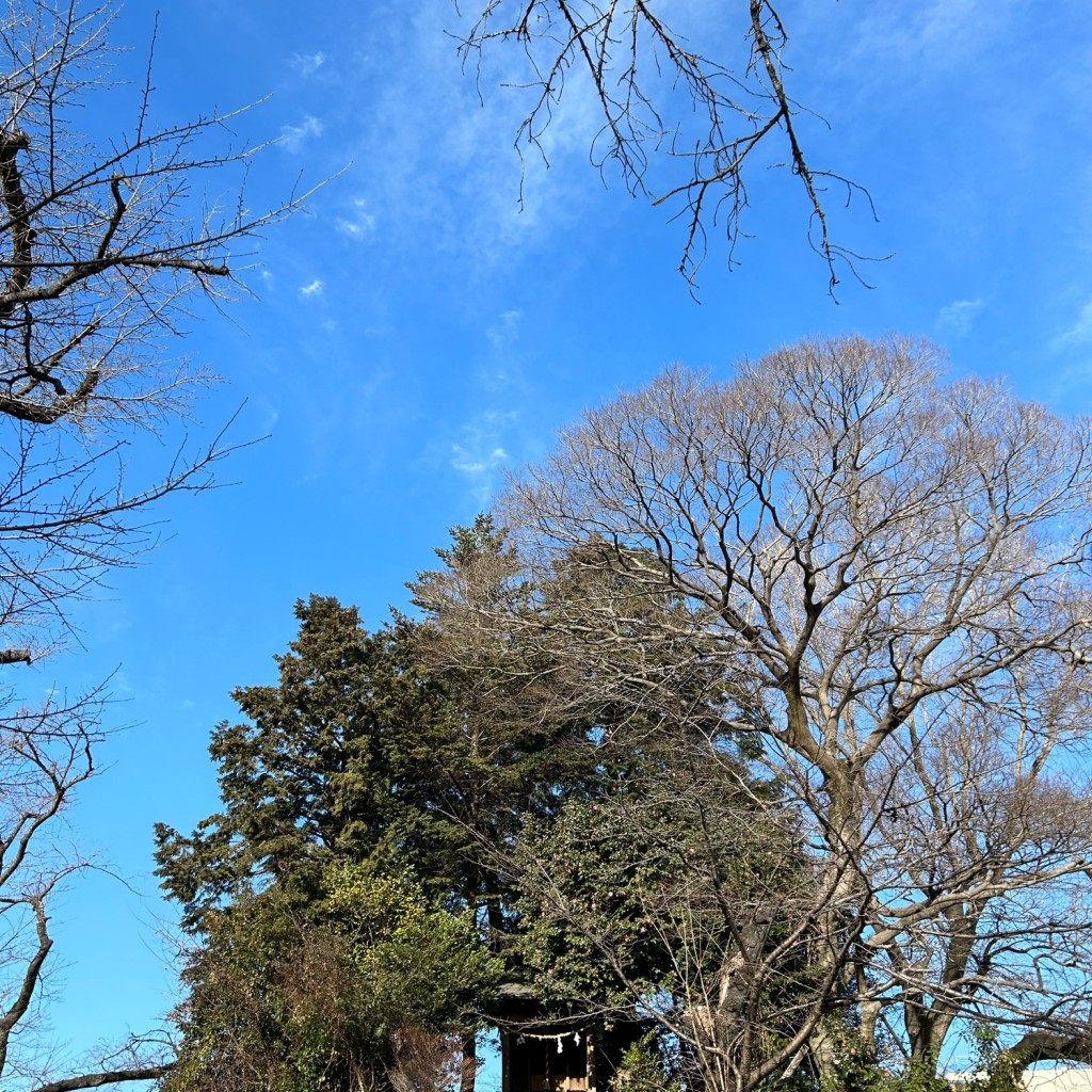 プレちゃん23さんが投稿した富士見町神社のお店浅間神社/アサマジンジャの写真