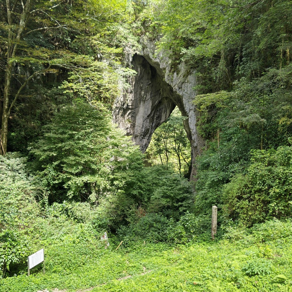 実際訪問したユーザーが直接撮影して投稿した草間野 / 川遊び羅生門の写真