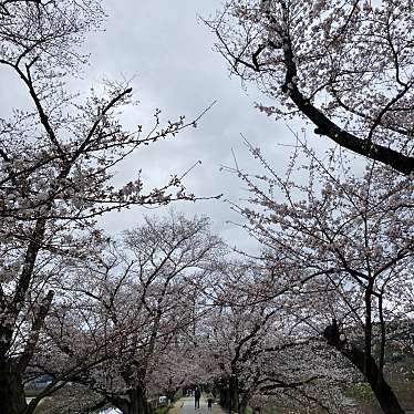 実際訪問したユーザーが直接撮影して投稿した八幡在応寺展望台 / 展望施設さくらであい館 展望塔の写真