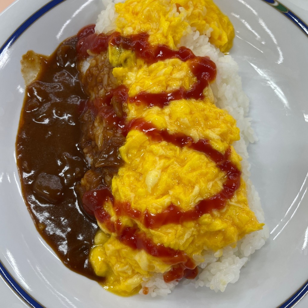 ユーザーが投稿した組  (中) オムハヤシの写真 - 実際訪問したユーザーが直接撮影して投稿した本郷定食屋東京大学 本郷第二食堂の写真