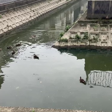 実際訪問したユーザーが直接撮影して投稿した柱本新町公園柱本1号地の写真