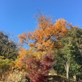 実際訪問したユーザーが直接撮影して投稿した能見台公園能見台北公園の写真