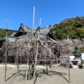 実際訪問したユーザーが直接撮影して投稿した粉河寺粉河寺の写真