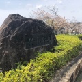 実際訪問したユーザーが直接撮影して投稿した三吉公園竹取公園の写真