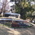 実際訪問したユーザーが直接撮影して投稿した東七松町公園橘公園の写真