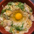 温玉親子丼 - 実際訪問したユーザーが直接撮影して投稿した木幡丼ものどんぶり名人 木幡店の写真のメニュー情報