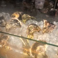 実際訪問したユーザーが直接撮影して投稿した神楽坂オイスターバーFAST OYSTERS 神楽坂店の写真