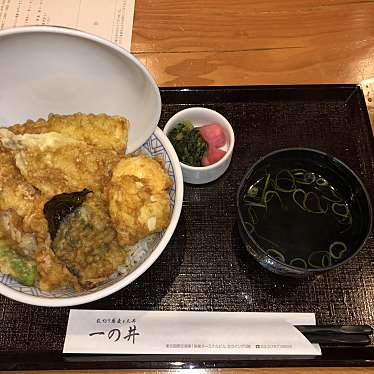 乱切り蕎麦と天丼 一の井のundefinedに実際訪問訪問したユーザーunknownさんが新しく投稿した新着口コミの写真