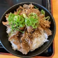 チャーシュー丼 - 実際訪問したユーザーが直接撮影して投稿した蛇田ラーメン専門店麺屋 燈花の写真のメニュー情報