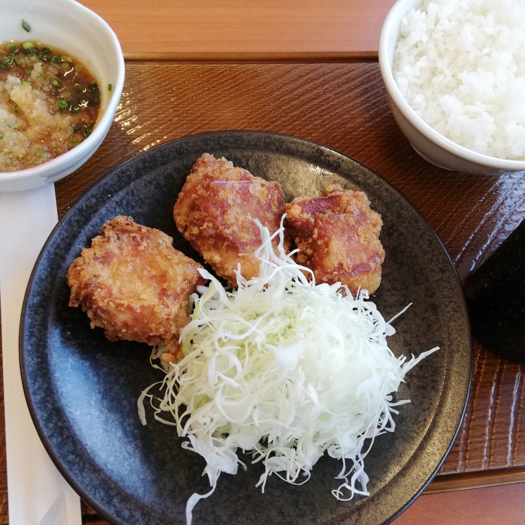 ユーザーが投稿したおろし定食の写真 - 実際訪問したユーザーが直接撮影して投稿した横浜からあげから好し 福岡伊都店の写真
