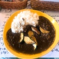 実際訪問したユーザーが直接撮影して投稿した玉川カレーAcchakanaの写真