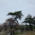 実際訪問したユーザーが直接撮影して投稿した外五曲町公園鈴の森公園の写真