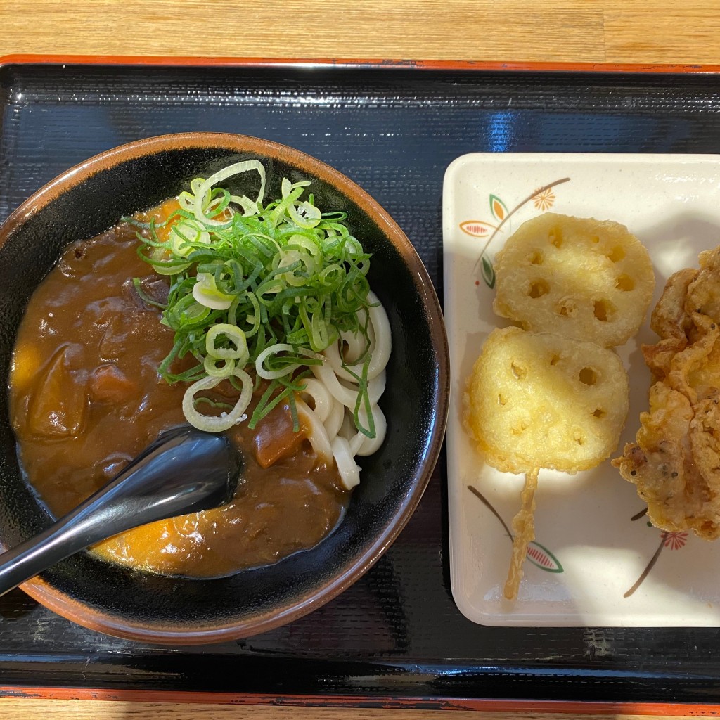 ユーザーが投稿したカレーうどん&天ぷら2種の写真 - 実際訪問したユーザーが直接撮影して投稿した高浜町うどんセルフうどん やま 南茨木店の写真