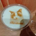 エコバッグ大 ゆるねこ - 実際訪問したユーザーが直接撮影して投稿した寿町カフェ猫カフェ Moff animal cafe アリオ倉敷店の写真のメニュー情報