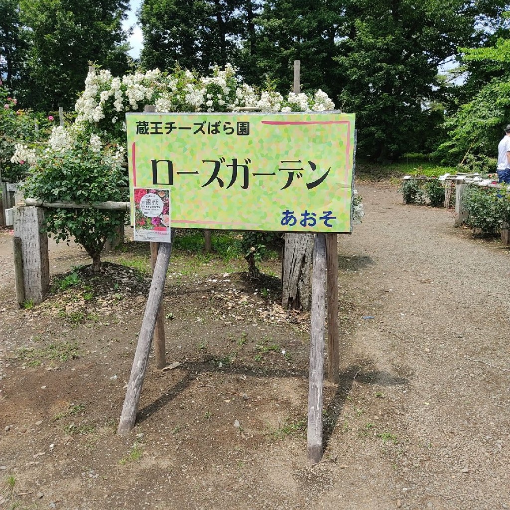 実際訪問したユーザーが直接撮影して投稿した遠刈田温泉庭園蔵王酪農センター バラ園の写真