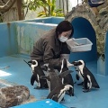 実際訪問したユーザーが直接撮影して投稿した大垣町動物園松江フォーゲルパークの写真