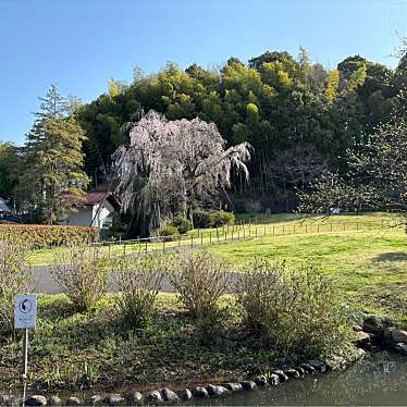 実際訪問したユーザーが直接撮影して投稿した鶴牧公園鶴牧西公園の写真