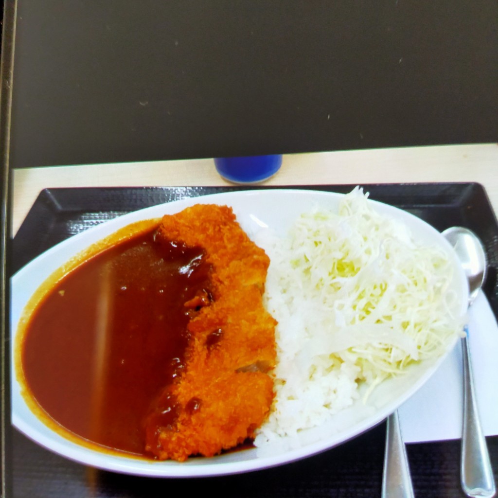 ユーザーが投稿したカツカレー(竹)の写真 - 実際訪問したユーザーが直接撮影して投稿した駅前本町とんかつかつや 京浜川崎店の写真