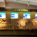 実際訪問したユーザーが直接撮影して投稿した飯島博物館道の駅 白川郷 合掌ミュージアムの写真