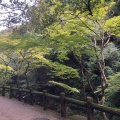 実際訪問したユーザーが直接撮影して投稿した箕面公園公園箕面公園の写真