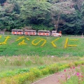 実際訪問したユーザーが直接撮影して投稿した神明町公園くりはま花の国の写真