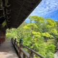 実際訪問したユーザーが直接撮影して投稿した山 / 峠書写山の写真