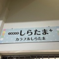 実際訪問したユーザーが直接撮影して投稿した難波千日前カフェしらたま専門店「しらたま+」の写真