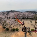 実際訪問したユーザーが直接撮影して投稿した福田町福田公園種松山公園西園地の写真