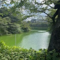 実際訪問したユーザーが直接撮影して投稿した北の丸公園公園北の丸公園の写真