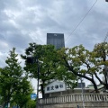 実際訪問したユーザーが直接撮影して投稿した博労町神社難波神社の写真