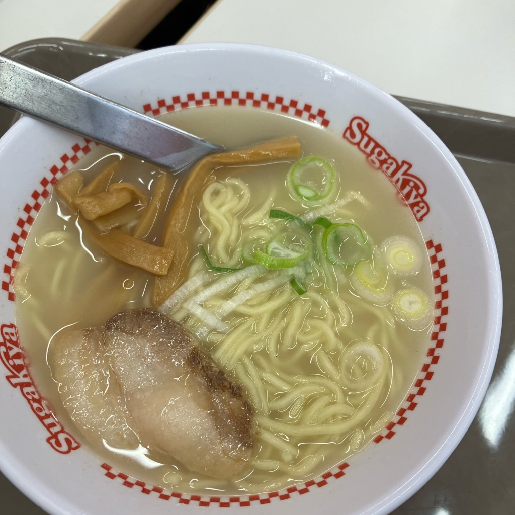 ユーザーが投稿したミニラーメンの写真 - 実際訪問したユーザーが直接撮影して投稿した大須ラーメン専門店スガキヤ 大須万松寺通店の写真