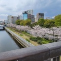 実際訪問したユーザーが直接撮影して投稿した木場橋木場公園大橋の写真