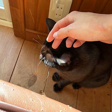 実際訪問したユーザーが直接撮影して投稿した発地洋食たんぽぽ食堂の写真