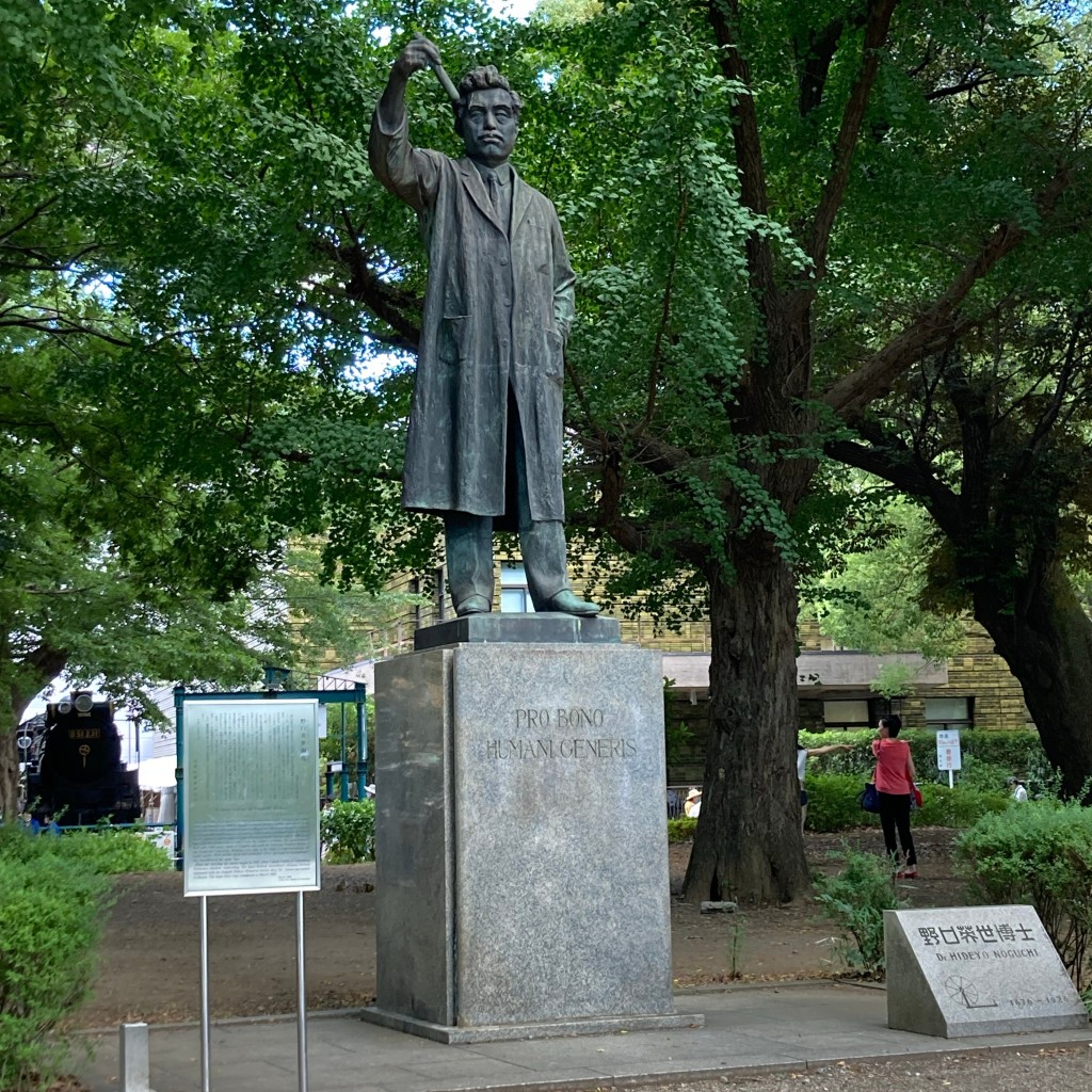 実際訪問したユーザーが直接撮影して投稿した上野公園銅像野口英世像の写真