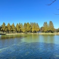 実際訪問したユーザーが直接撮影して投稿した池辺公園川越水上公園の写真