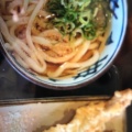 おろしぶっかけうどん - 実際訪問したユーザーが直接撮影して投稿した新横浜うどん瀬戸うどん 新横浜店の写真のメニュー情報