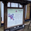 実際訪問したユーザーが直接撮影して投稿した坂ノ下神社御霊神社の写真