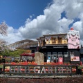 実際訪問したユーザーが直接撮影して投稿した神山ケーキ御殿場高原スイーツの写真