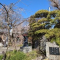 実際訪問したユーザーが直接撮影して投稿した寺炎天寺の写真