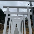 実際訪問したユーザーが直接撮影して投稿した法曽寺済渡寺の写真