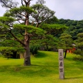 実際訪問したユーザーが直接撮影して投稿した吉野町庭園仙巌園の写真