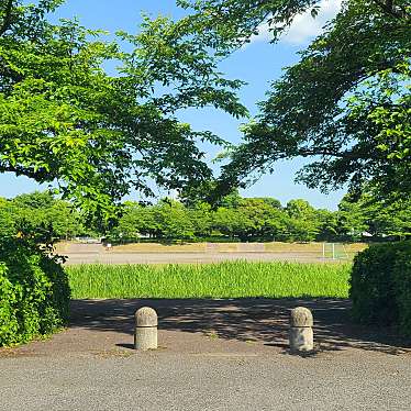 実際訪問したユーザーが直接撮影して投稿した豊野台公園豊野台公園の写真