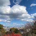 実際訪問したユーザーが直接撮影して投稿した東須磨公園神戸市立須磨離宮公園の写真