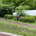 実際訪問したユーザーが直接撮影して投稿した立願寺公園蛇ヶ谷公園の写真