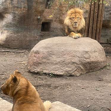 もうじゅう館 旭山動物園のundefinedに実際訪問訪問したユーザーunknownさんが新しく投稿した新着口コミの写真